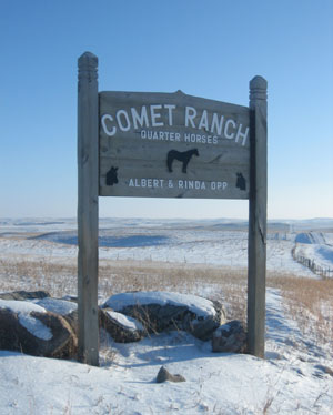 About Comet Ranch Quarter Horses, Hazelton, ND